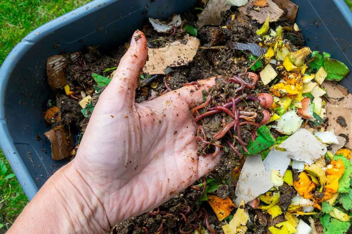 Meet the Composting Heroes