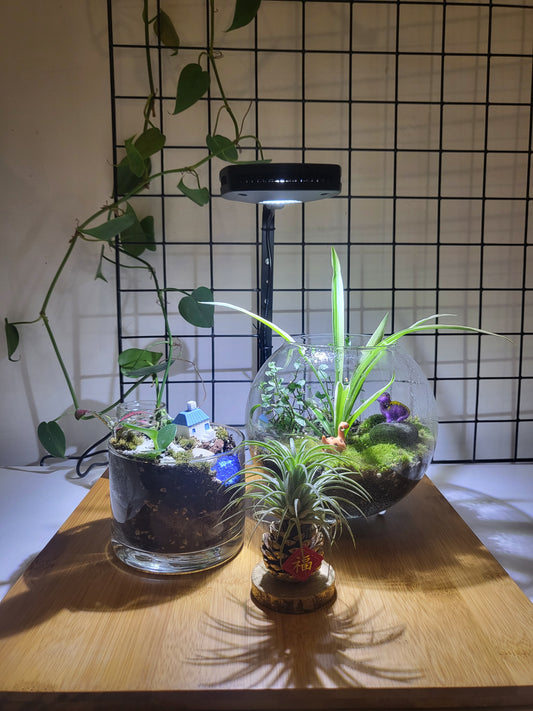 Terrarium Lightstand