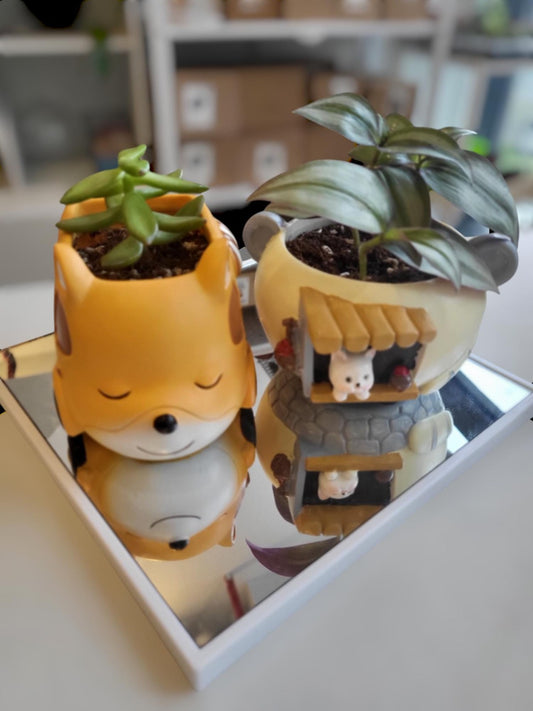 Potted Plant Workshop with Adorable Plant Pots